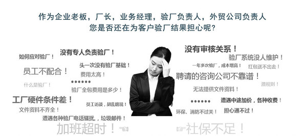 BSCI审核指引流程 BSCI审核指引流程