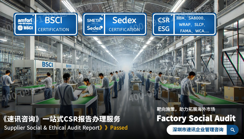 Social ethics audit report